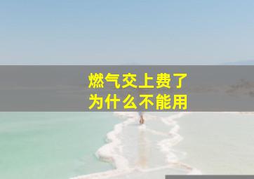 燃气交上费了为什么不能用