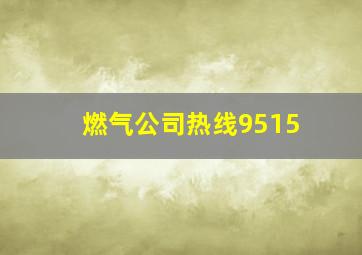 燃气公司热线9515