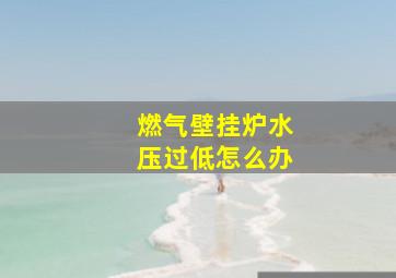 燃气壁挂炉水压过低怎么办