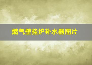 燃气壁挂炉补水器图片