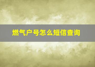 燃气户号怎么短信查询