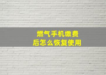 燃气手机缴费后怎么恢复使用