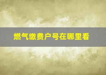 燃气缴费户号在哪里看