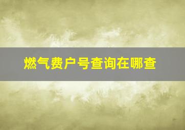 燃气费户号查询在哪查