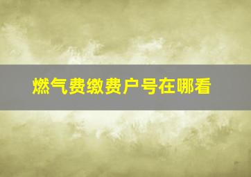 燃气费缴费户号在哪看