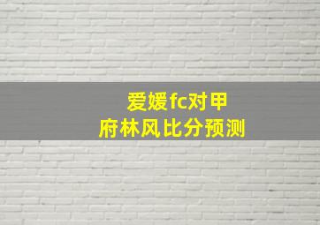 爱媛fc对甲府林风比分预测