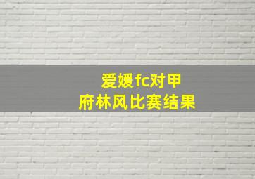 爱媛fc对甲府林风比赛结果