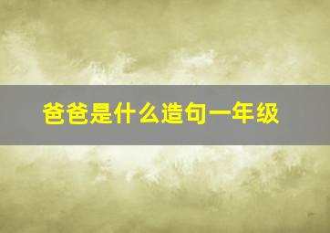 爸爸是什么造句一年级