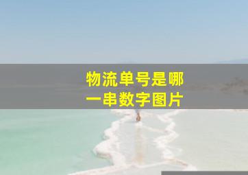 物流单号是哪一串数字图片