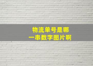 物流单号是哪一串数字图片啊