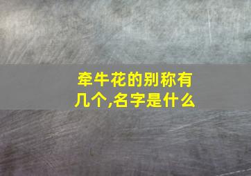 牵牛花的别称有几个,名字是什么