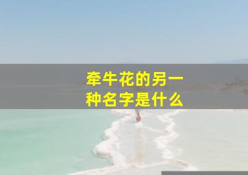 牵牛花的另一种名字是什么