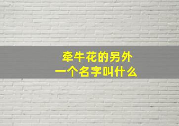 牵牛花的另外一个名字叫什么