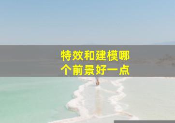 特效和建模哪个前景好一点