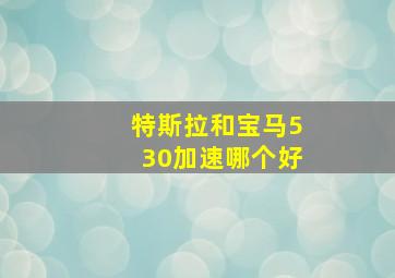 特斯拉和宝马530加速哪个好