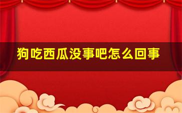 狗吃西瓜没事吧怎么回事