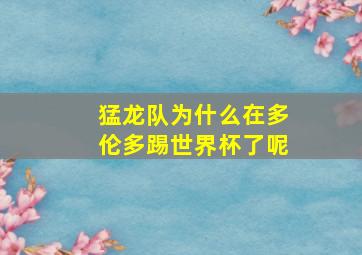 猛龙队为什么在多伦多踢世界杯了呢