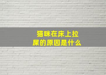 猫咪在床上拉屎的原因是什么