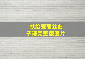 献给爱丽丝曲子谱完整版图片