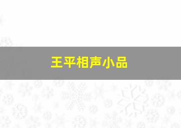 王平相声小品