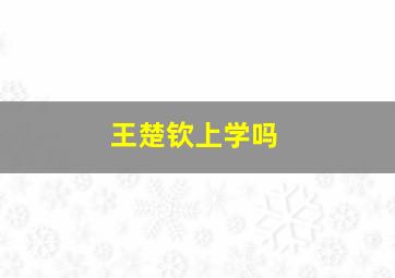 王楚钦上学吗