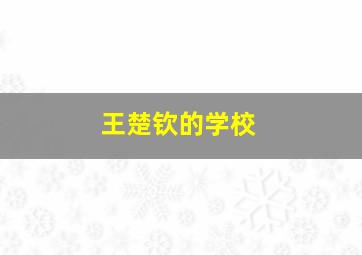 王楚钦的学校