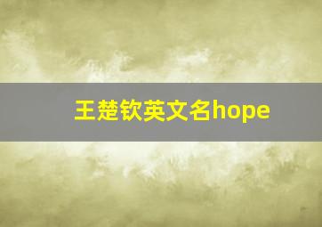 王楚钦英文名hope