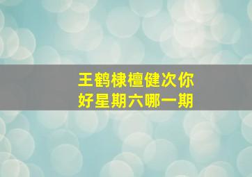 王鹤棣檀健次你好星期六哪一期