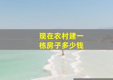 现在农村建一栋房子多少钱