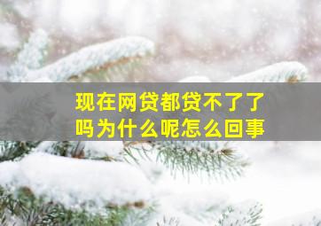 现在网贷都贷不了了吗为什么呢怎么回事