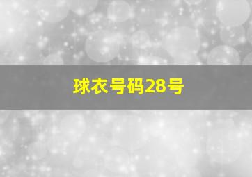 球衣号码28号