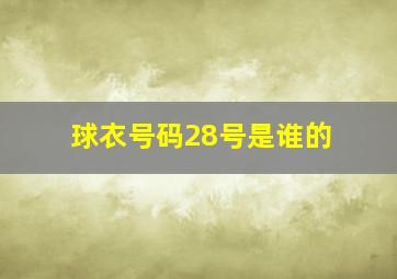 球衣号码28号是谁的