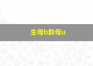 生母b韵母u