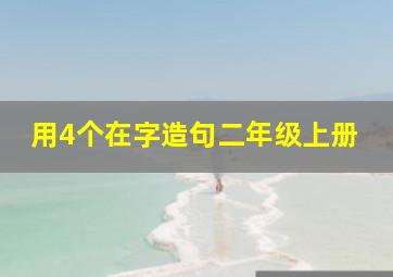 用4个在字造句二年级上册