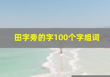 田字旁的字100个字组词