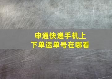 申通快递手机上下单运单号在哪看