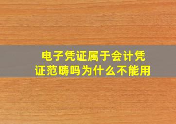 电子凭证属于会计凭证范畴吗为什么不能用