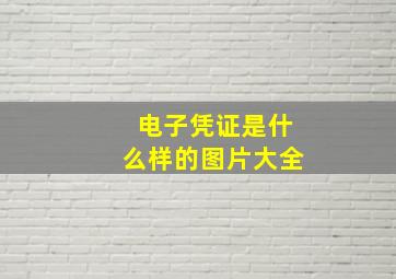 电子凭证是什么样的图片大全