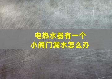 电热水器有一个小阀门漏水怎么办