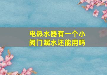 电热水器有一个小阀门漏水还能用吗