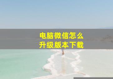 电脑微信怎么升级版本下载