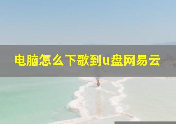 电脑怎么下歌到u盘网易云