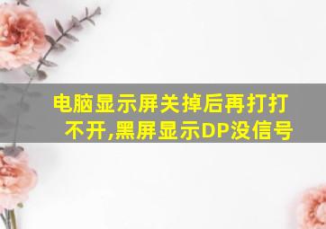 电脑显示屏关掉后再打打不开,黑屏显示DP没信号