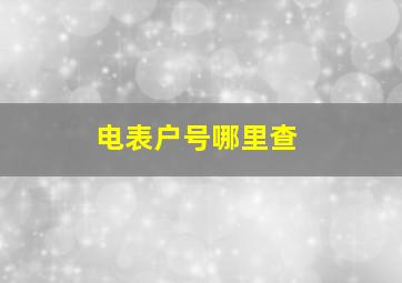 电表户号哪里查