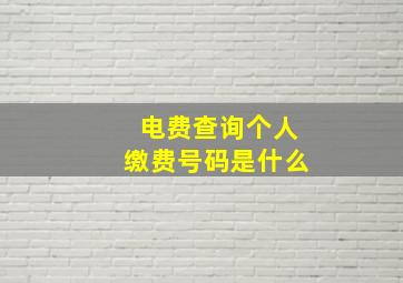 电费查询个人缴费号码是什么