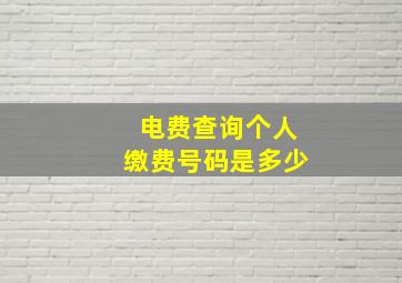 电费查询个人缴费号码是多少