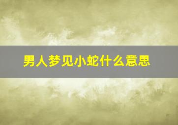 男人梦见小蛇什么意思