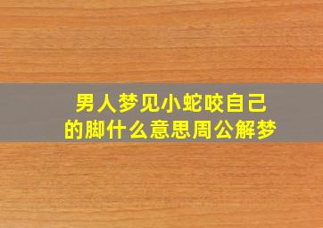 男人梦见小蛇咬自己的脚什么意思周公解梦