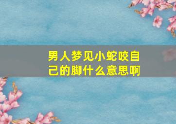 男人梦见小蛇咬自己的脚什么意思啊