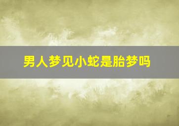 男人梦见小蛇是胎梦吗